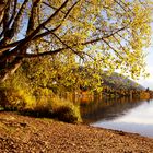 Es herbstelt am Zeller See