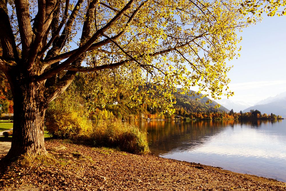 Es herbstelt am Zeller See