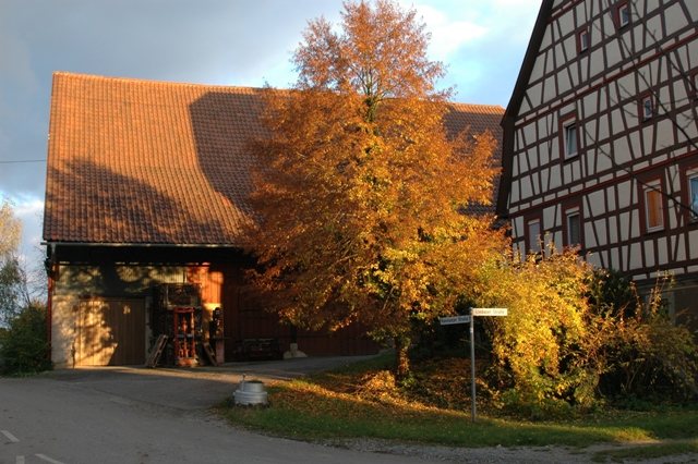 Es herbstelt auch bei Nachbars