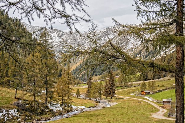 es herbstelt . . . .