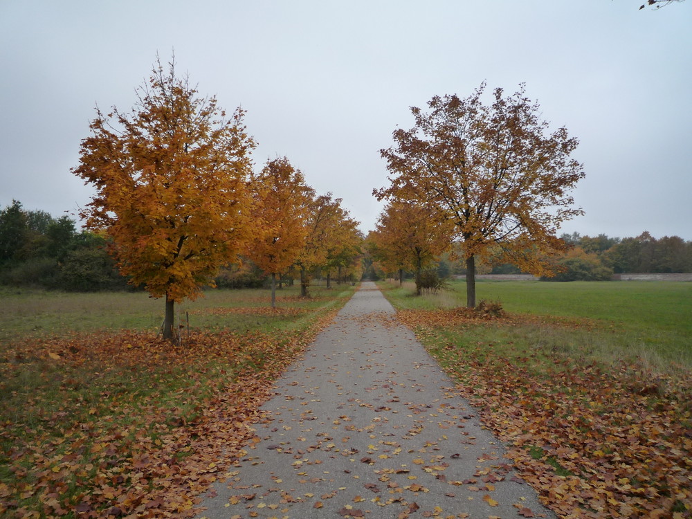 es herbstelt in Uschlheim