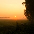 Es Herbstelt sehr... Ein Schuss auf dem Weg zur Arbeit