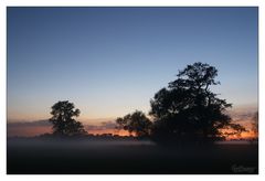 es herbstet 2