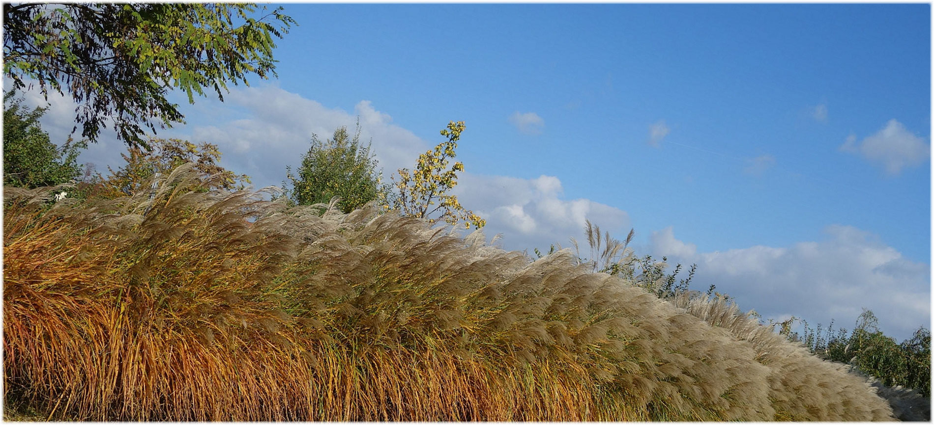 Es herbstet