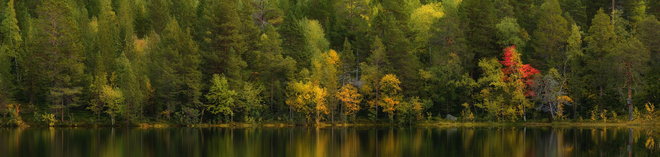 Es herbstet