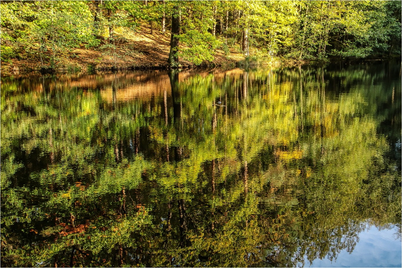 Es herbstet