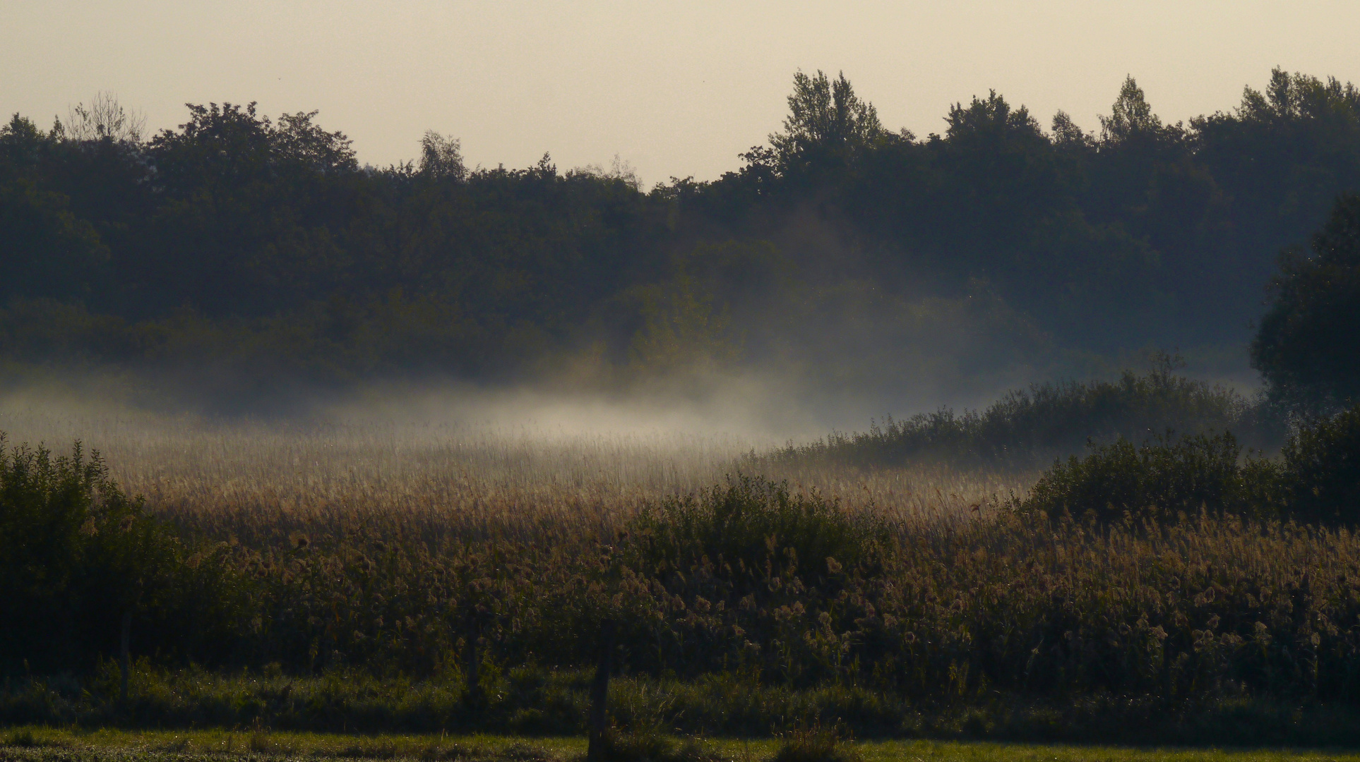 Es herbstet...