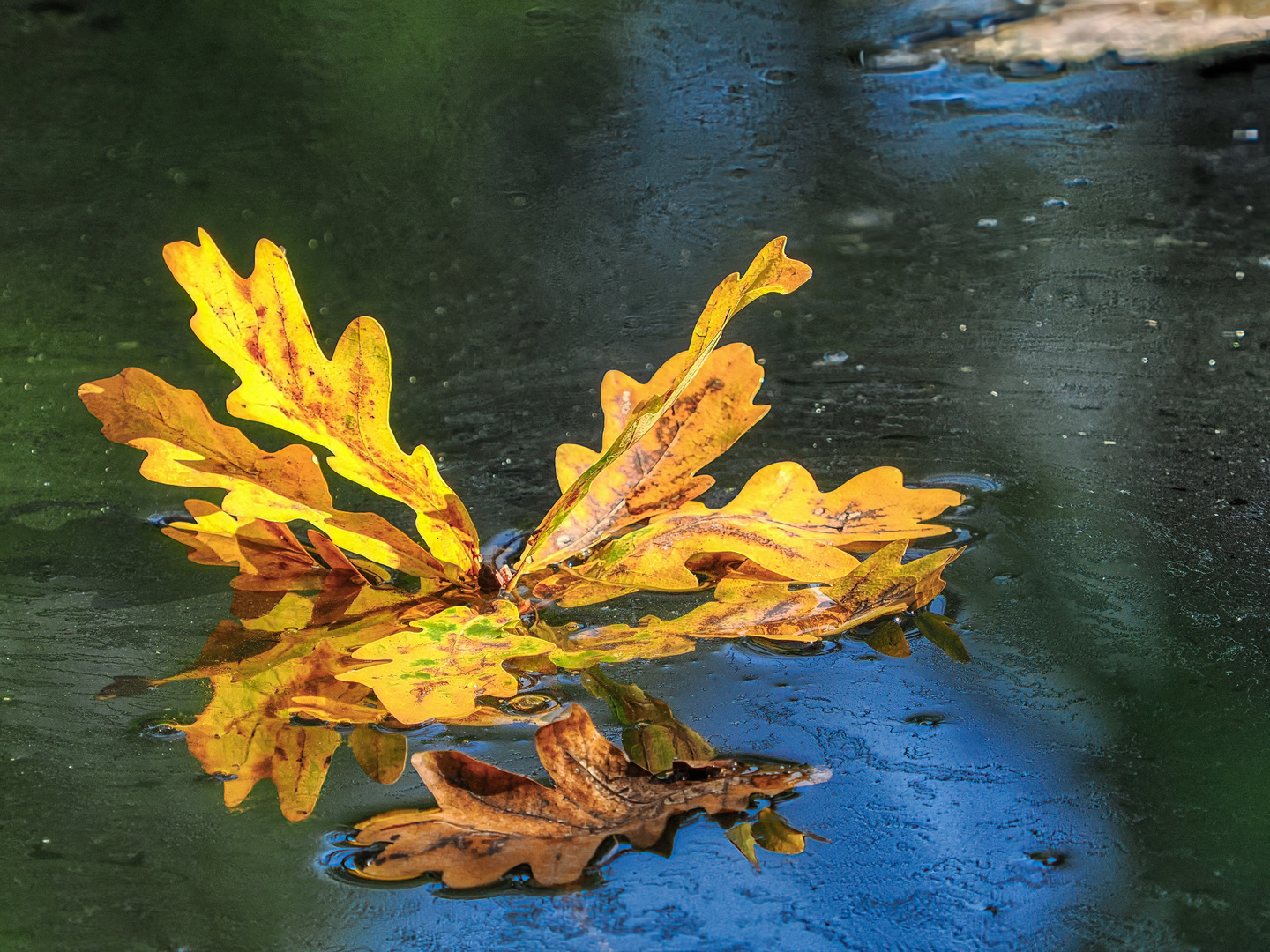 Es herbstet