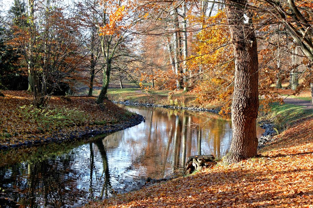 Es herbstet im Stadtpark