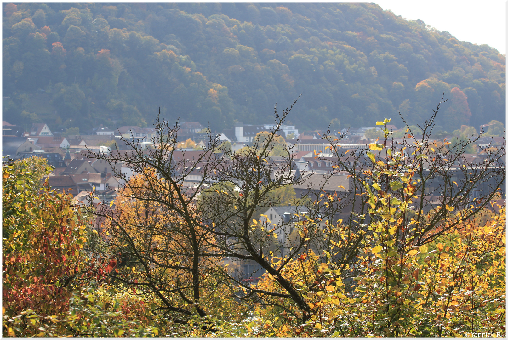 Es herbstet sehr...