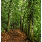 Es herbstet sehr