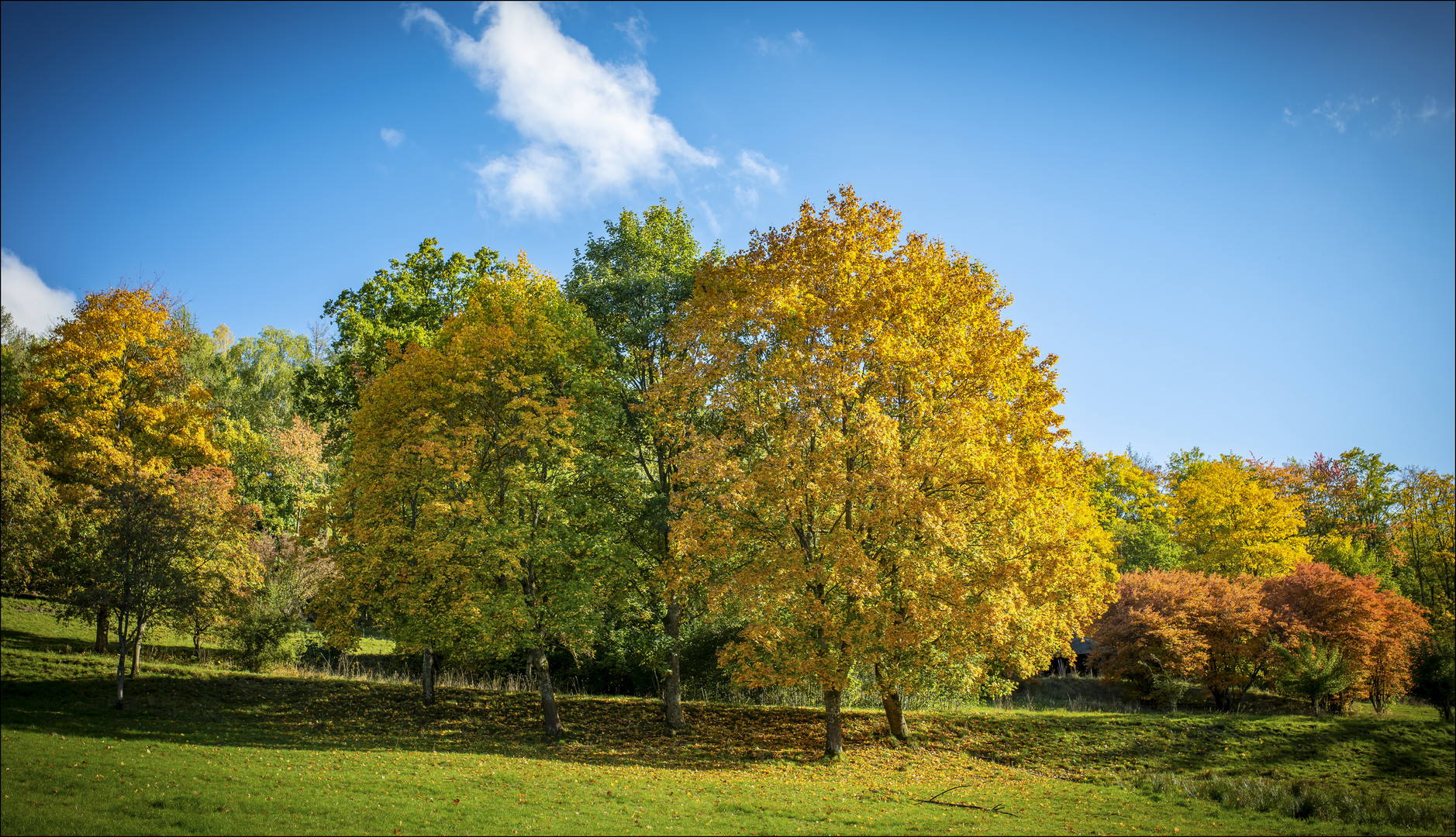 Es herbstlt!...