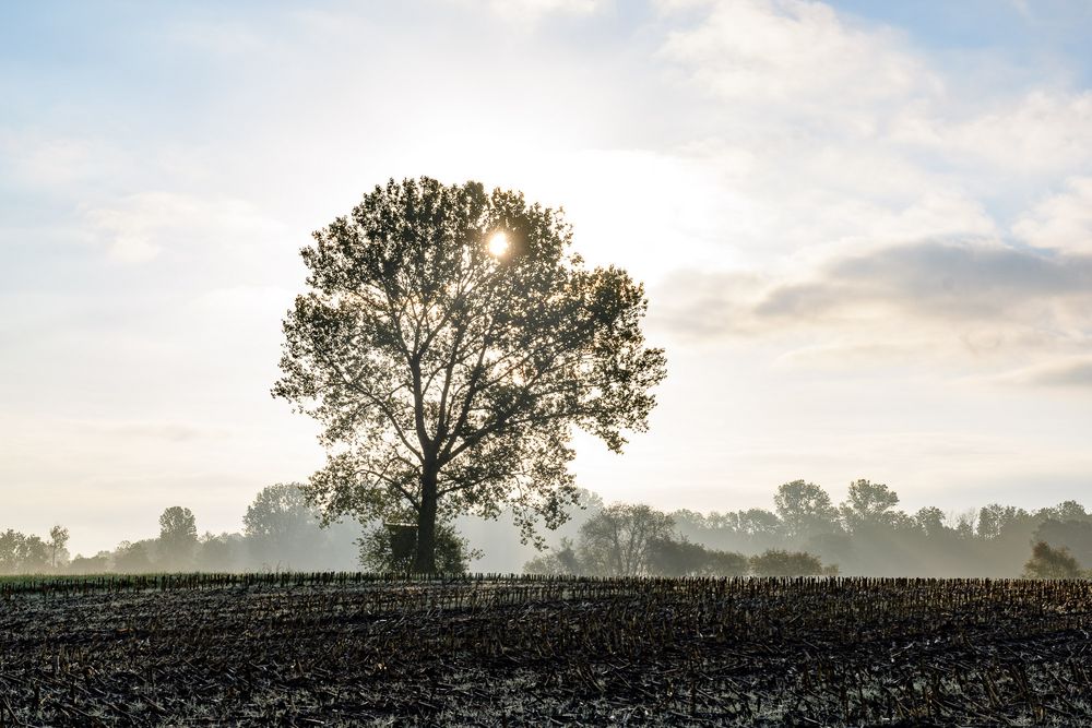 Es herbstlt