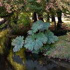 Es herbstlt im Park