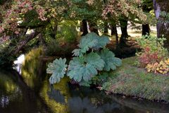 Es herbstlt im Park