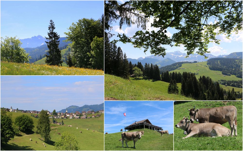 Es isch eifach schön im Appenzellerländli........