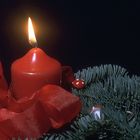 es ist adventszeit