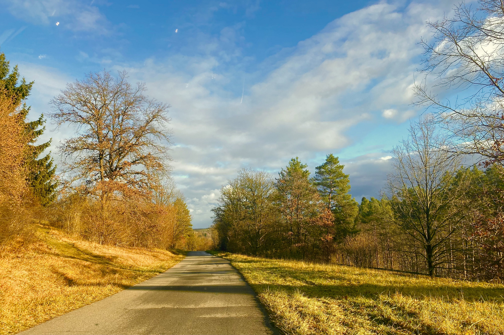 Es ist als hätte der Herbst es nicht lassen können 