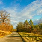 Es ist als hätte der Herbst es nicht lassen können 