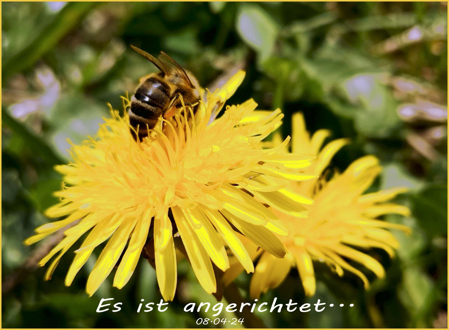 Es ist angerichtet..