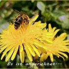 Es ist angerichtet..