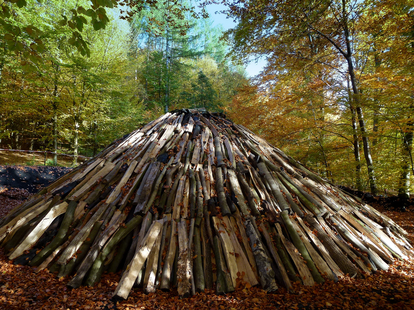 -Es ist angerichtet... Buchenscheide für einen Holzkohlemeiler- 2013