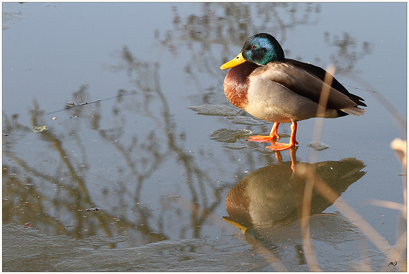 Es ist Badezeit...3