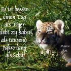 Es ist besser einen Tag als Tiger gelebt zu haben....