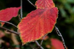 es ist deutlich herbst geworden