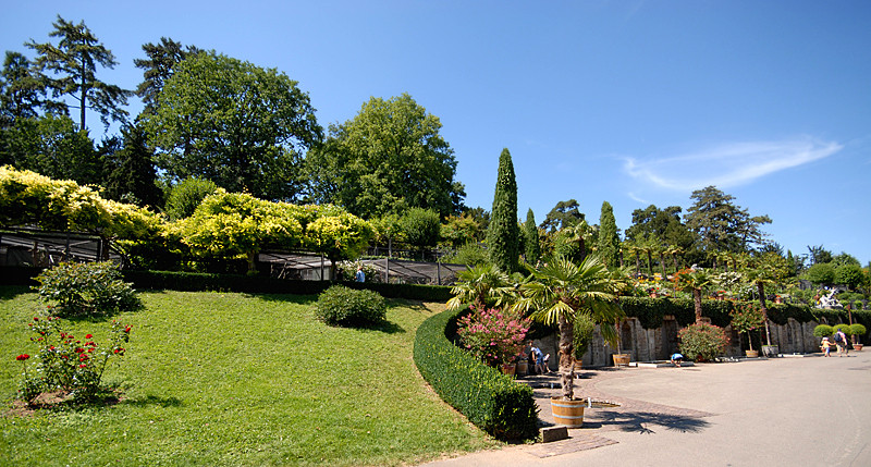 Es ist die Wilhelma in Stuttgart nicht die Insel Mainau