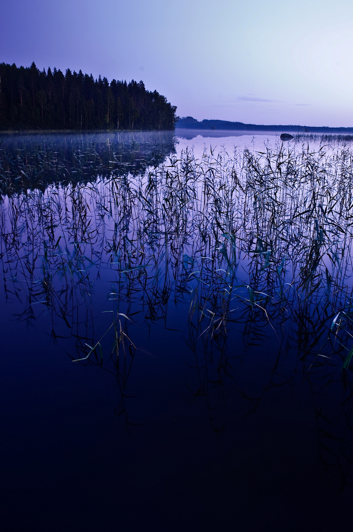 Es ist doch erstaunlich wie wenig Finnland mit Süd Kalifornien gemeinsam hat.