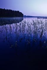 Es ist doch erstaunlich wie wenig Finnland mit Süd Kalifornien gemeinsam hat.