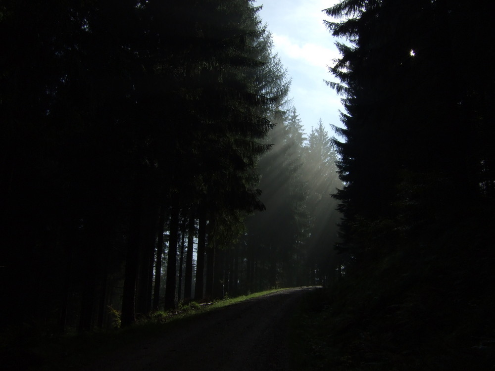 "... es ist ein guter Weg, den mein Leben geht..."