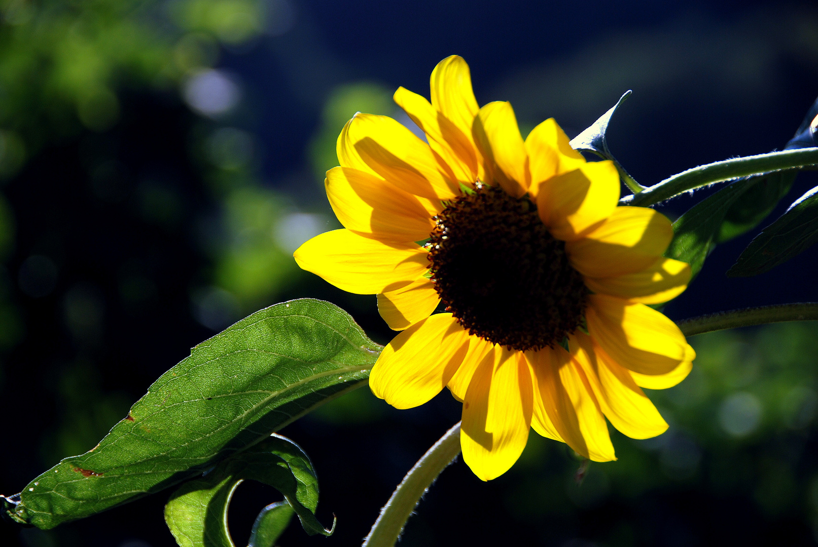 es ist ein wunderschöner Spätsommer