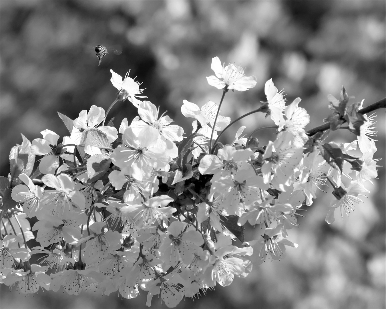 Es ist Frühling