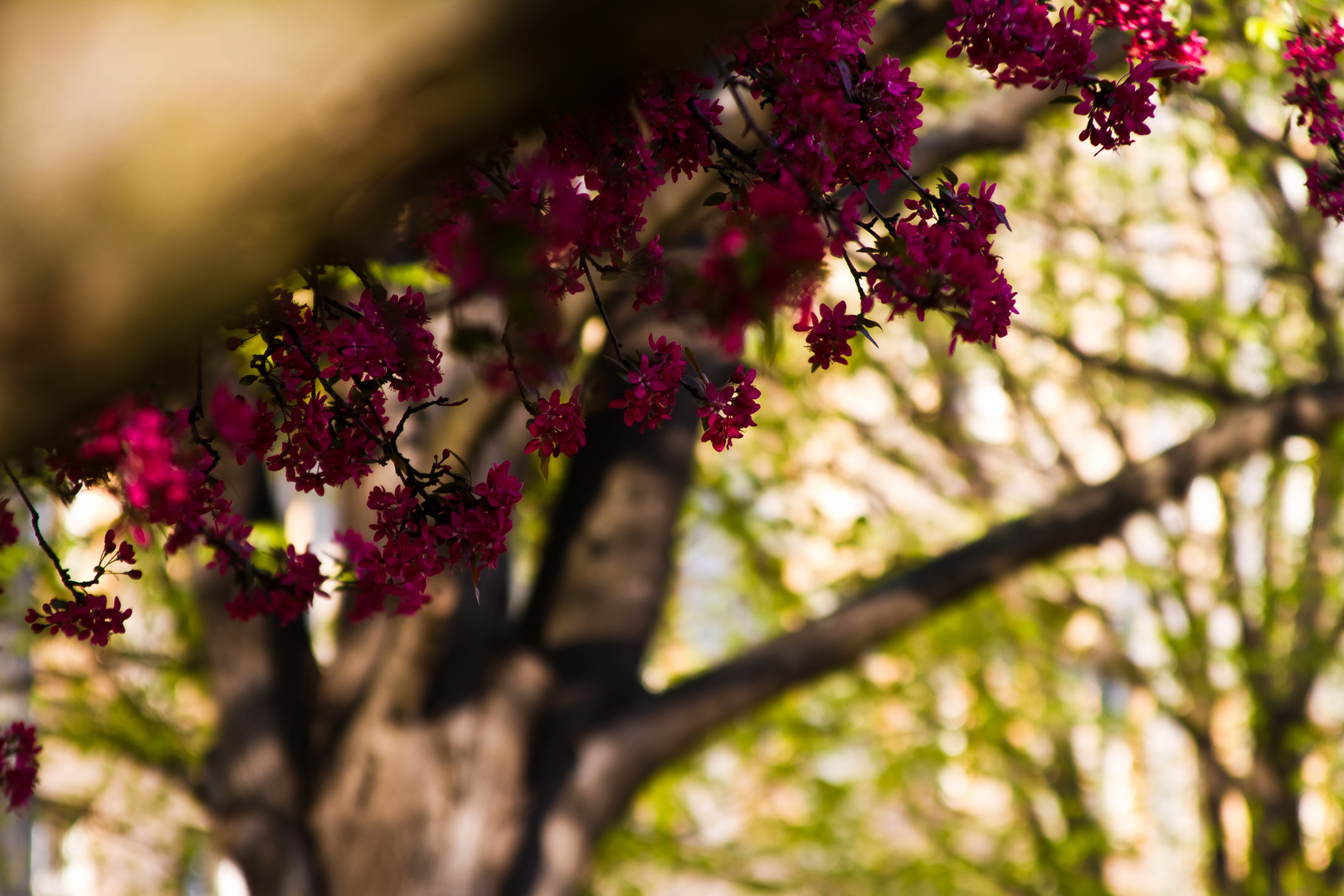 Es ist Frühling...!!!