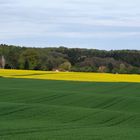 Es ist Frühling...