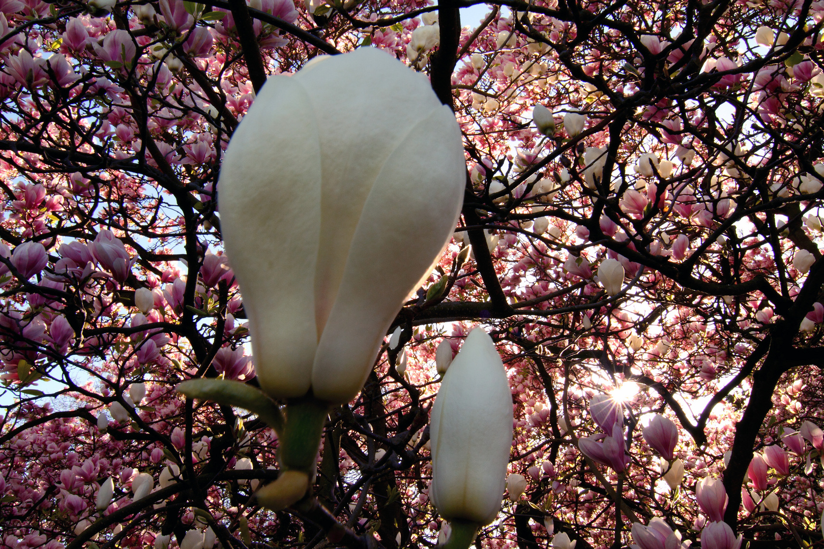 Es ist Frühling...