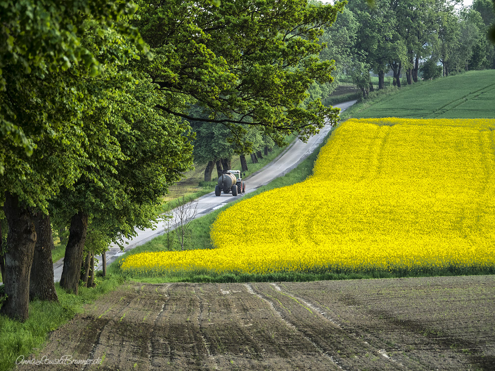 es ist Frühling..