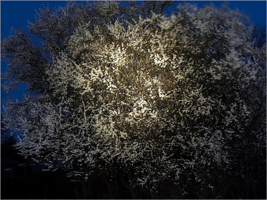 Es ist Frühling