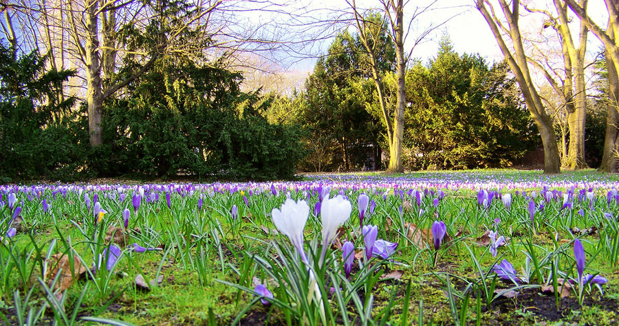 Es ist Frühling