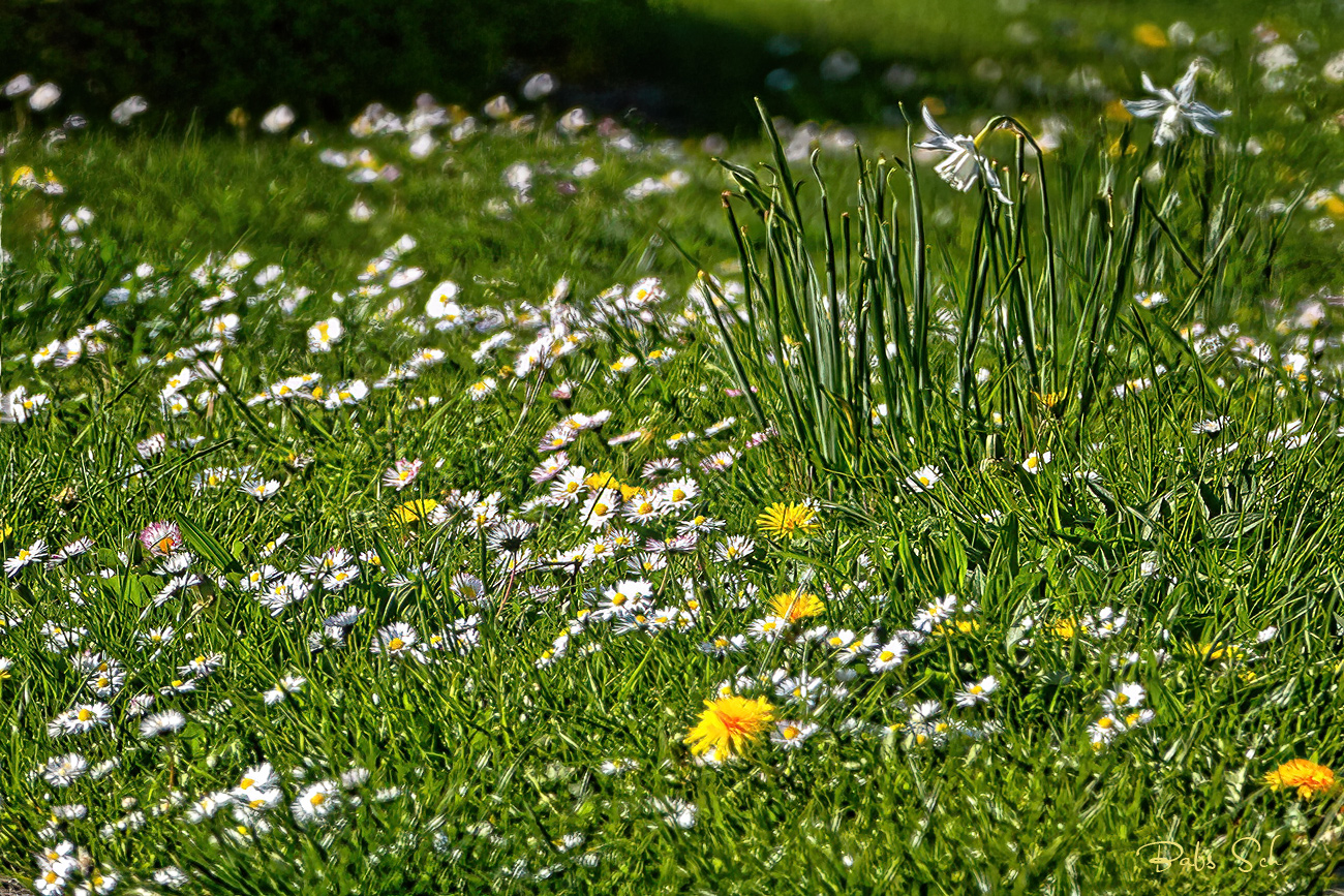 Es ist Frühling!