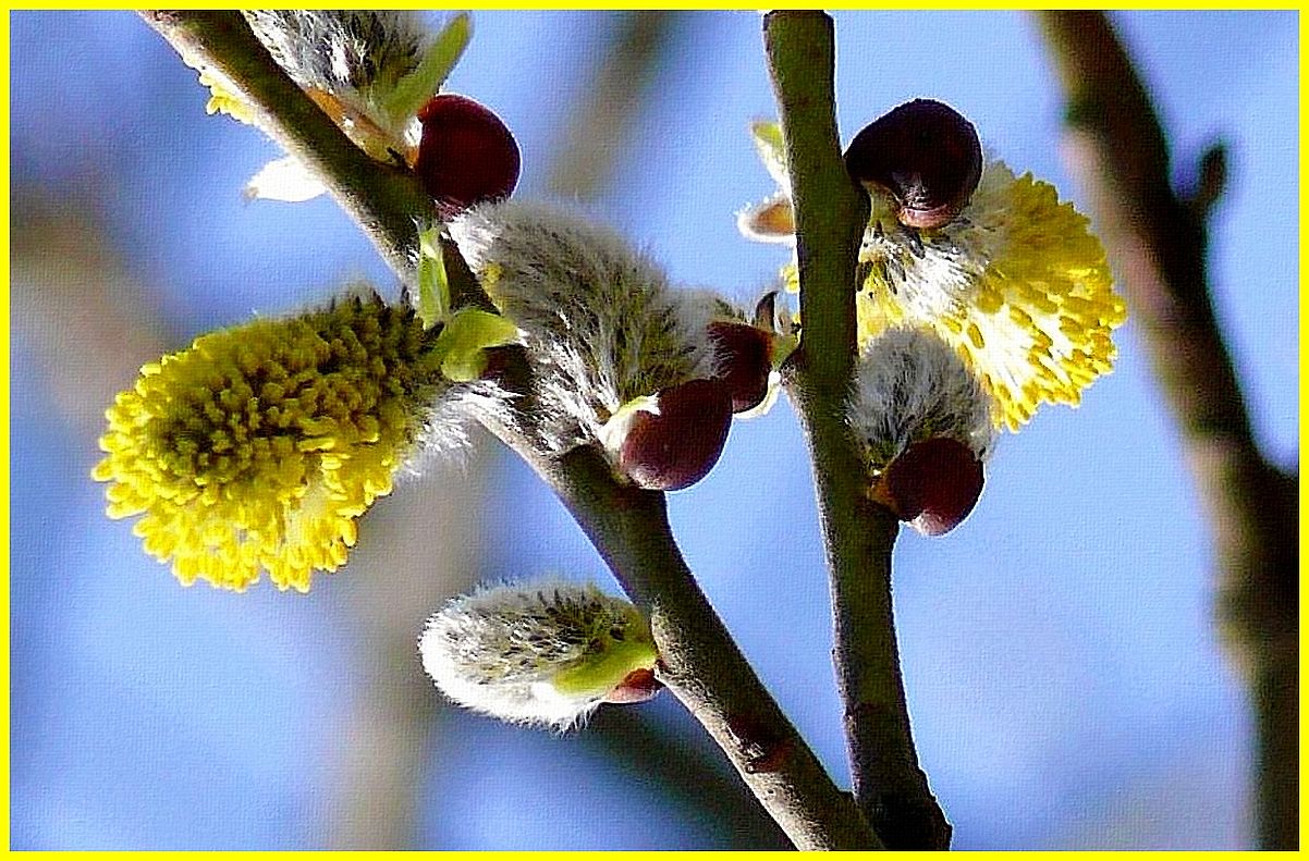 Es ist Frühling!