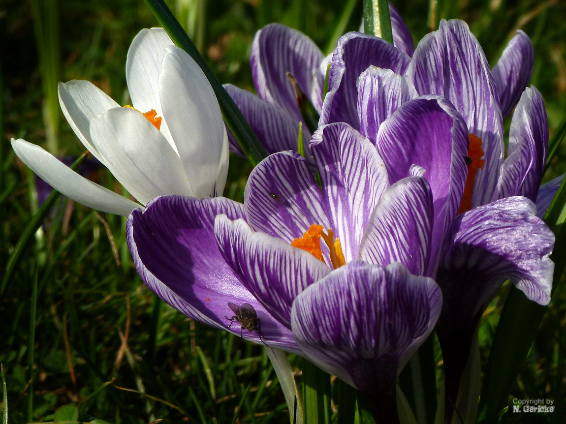 Es ist Frühling