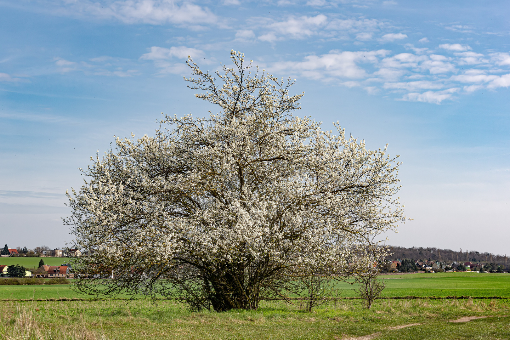 Es ist Frühling