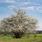 Es ist Frühling