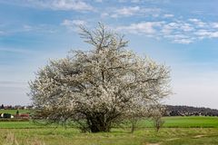 Es ist Frühling