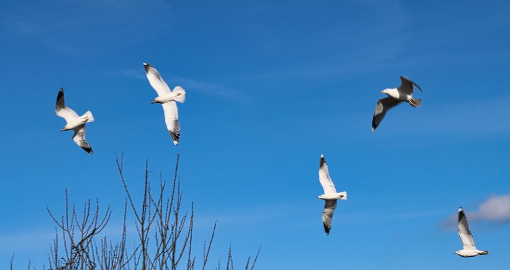 Es ist Frühling - Auf geht´s