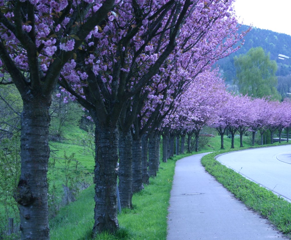 Es ist Frühling...