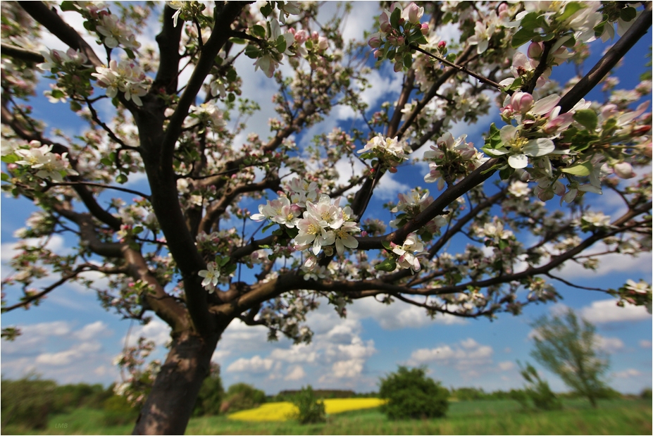 Es ist Frühling